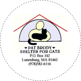 Pat Brody Shelter